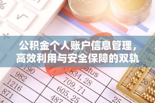 溧水公积金个人账户信息管理，高效利用与安全保障的双轨并行