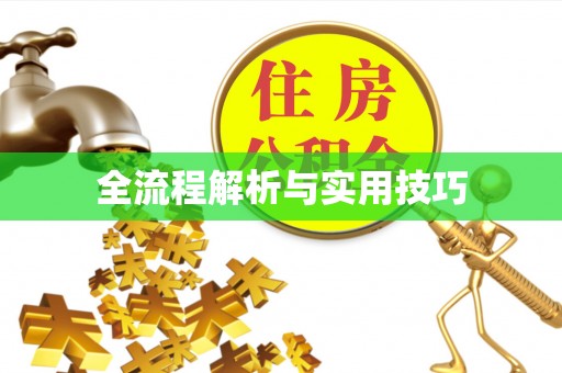 溧水全流程解析与实用技巧