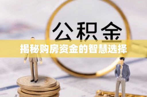 溧水揭秘购房资金的智慧选择