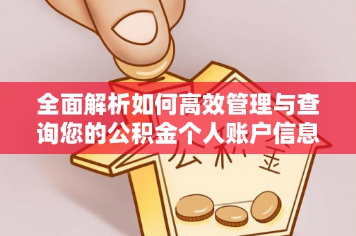 溧水全面解析如何高效管理与查询您的公积金个人账户信息